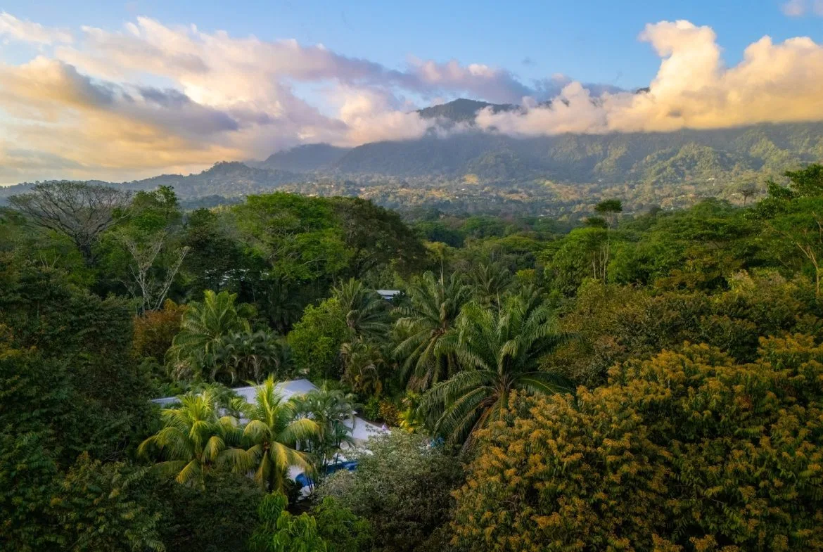 CASA SIRENA PROPERTY WITH TWO BEDROOM IN THE MIDDLE IN THE NATURE, IN OJOCHAL – 1.3 ACRES, photo 4