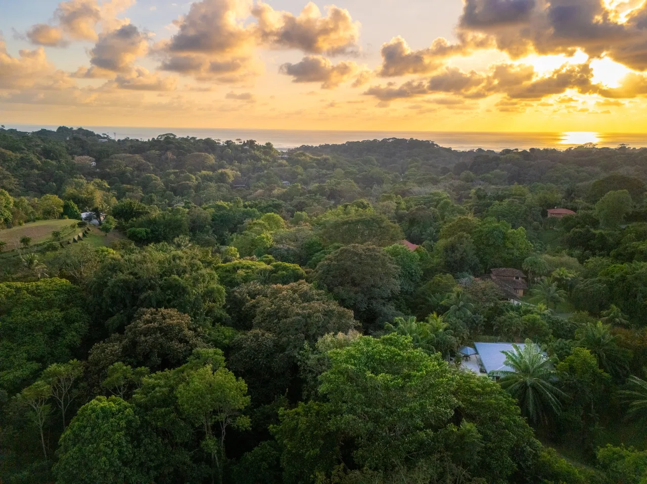 CASA SIRENA PROPERTY WITH TWO BEDROOM IN THE MIDDLE IN THE NATURE, IN OJOCHAL – 1.3 ACRES, photo 5