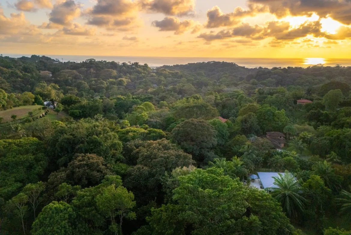CASA SIRENA PROPERTY WITH TWO BEDROOM IN THE MIDDLE IN THE NATURE, IN OJOCHAL – 1.3 ACRES, photo 6