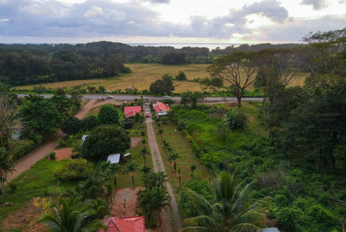 IDEAL RETIREMENT RETREAT NEAR DOMINICAL WITH INCOME POTENCIAL, photo 2