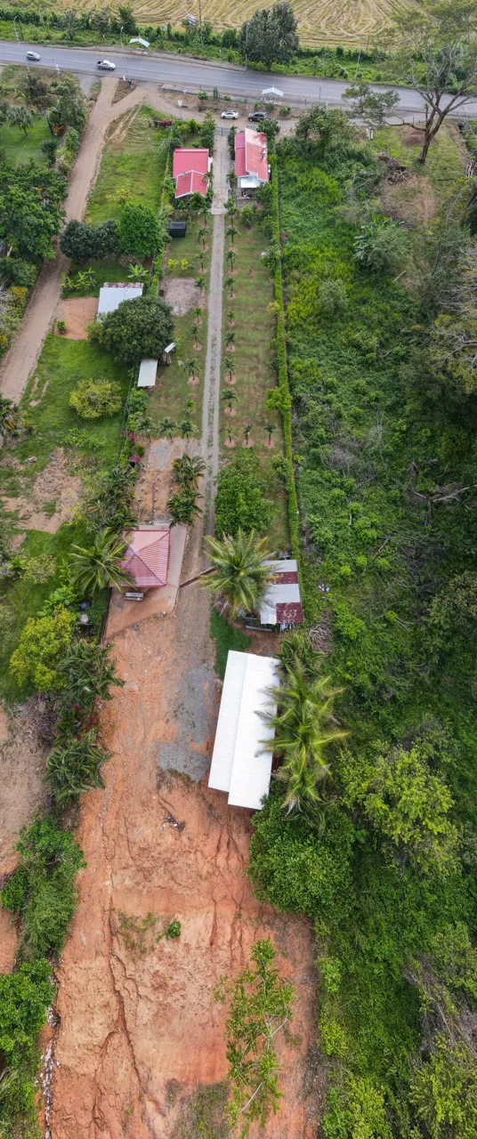 IDEAL RETIREMENT RETREAT NEAR DOMINICAL WITH INCOME POTENCIAL, photo 11