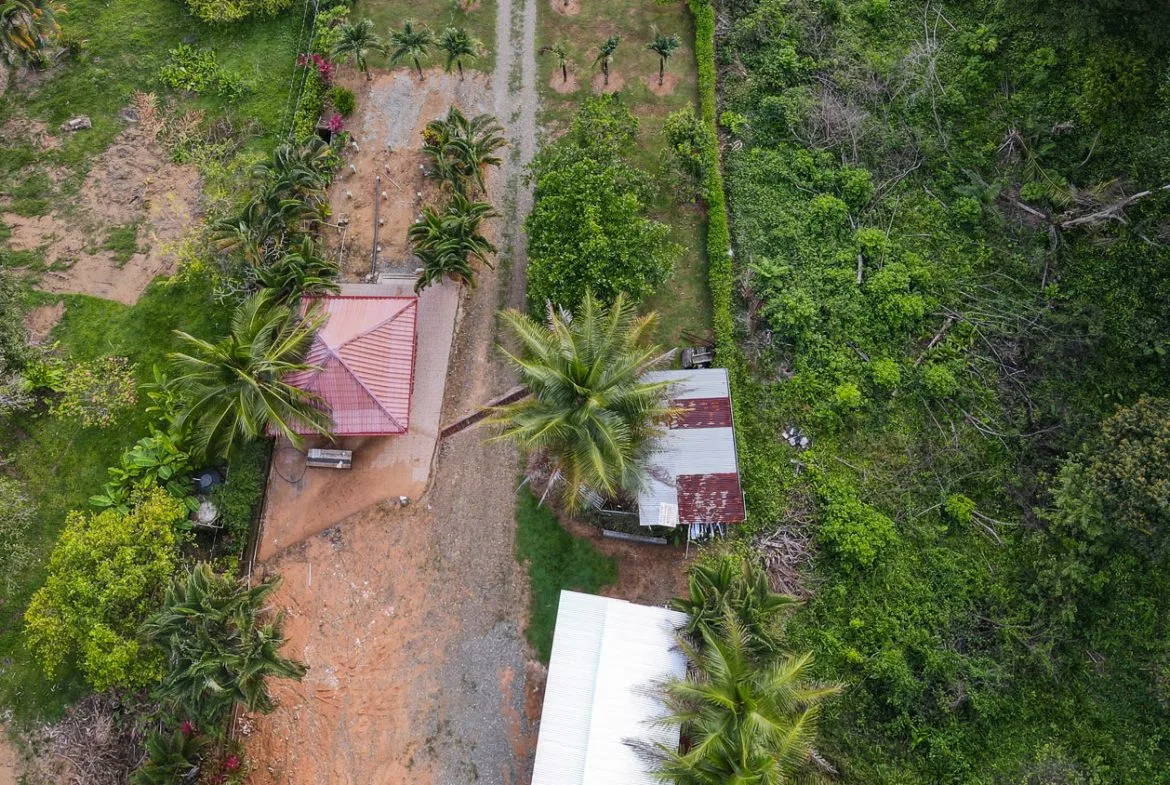 IDEAL RETIREMENT RETREAT NEAR DOMINICAL WITH INCOME POTENCIAL, photo 12