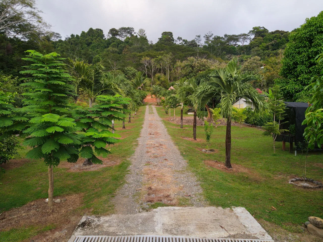 IDEAL RETIREMENT RETREAT NEAR DOMINICAL WITH INCOME POTENCIAL, photo 7