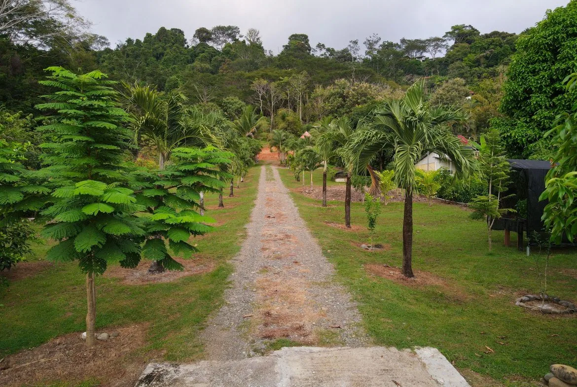 IDEAL RETIREMENT RETREAT NEAR DOMINICAL WITH INCOME POTENCIAL, photo 8