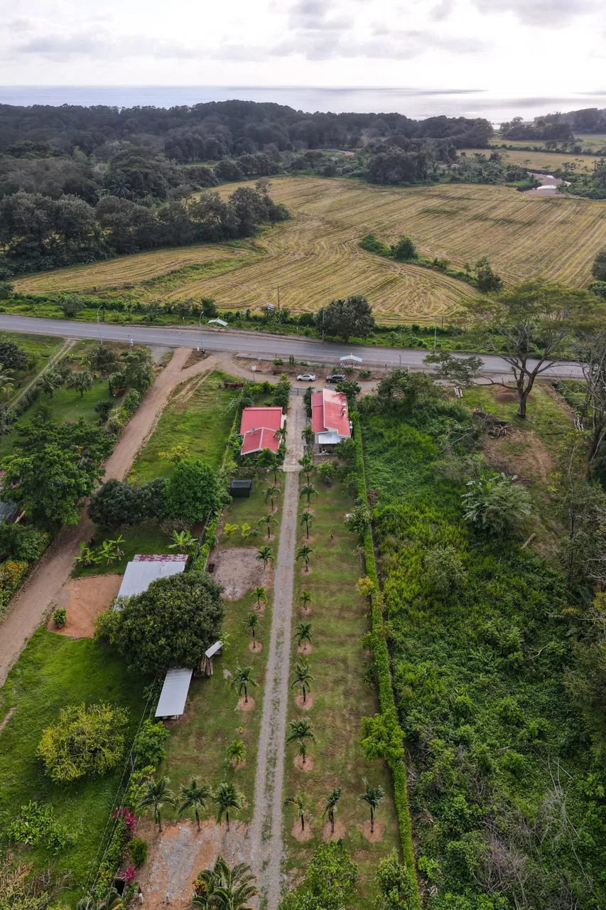IDEAL RETIREMENT RETREAT NEAR DOMINICAL WITH INCOME POTENCIAL, photo 9