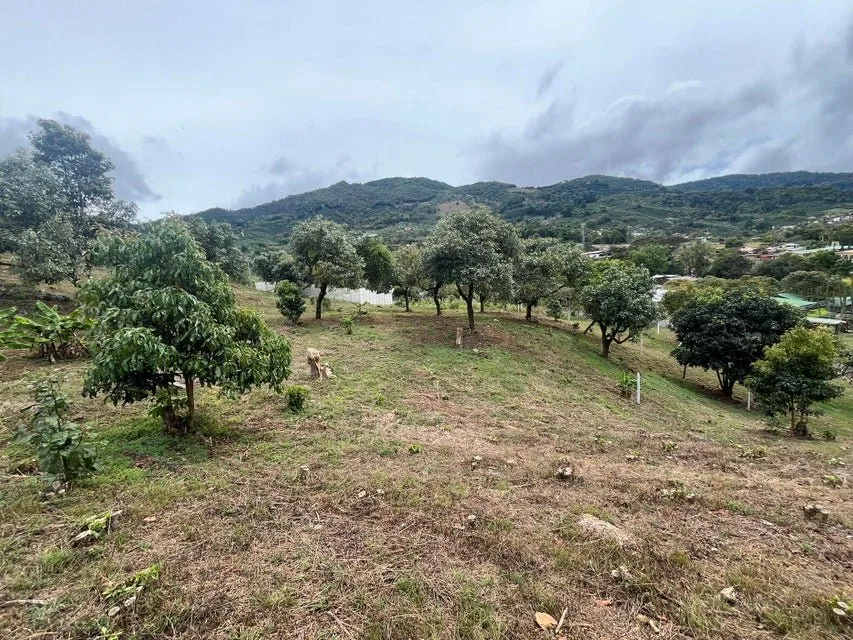 Venta de Lote en Dota-Santa María. RAH 26-1272 - Venta en Dota