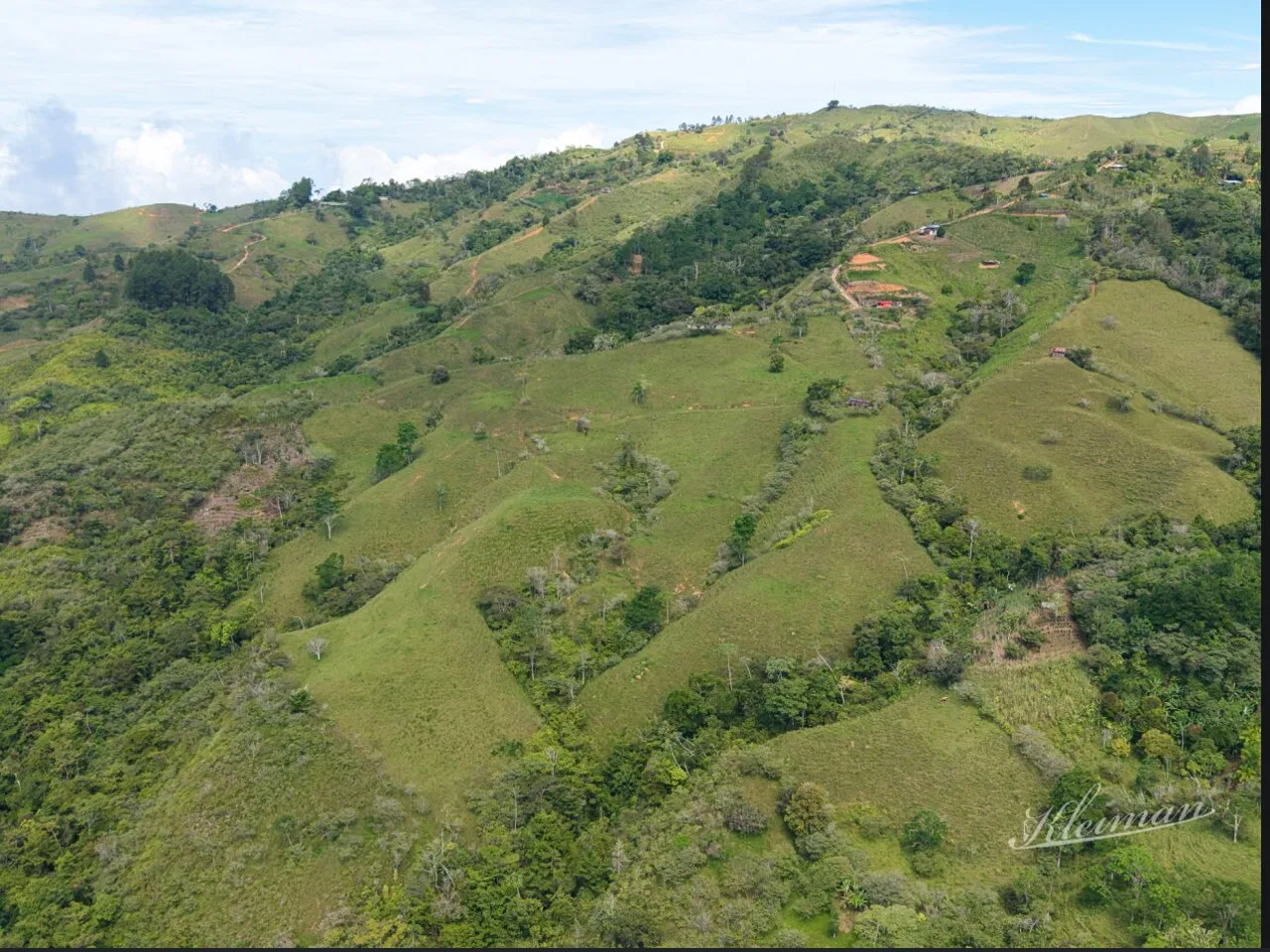 🌿 FARMHOUSE PROPERTY IN AGUA BUENA DE COTO BRUS 🌿 - REMAX Jungle Properties | Pavones Golfito Real Estate