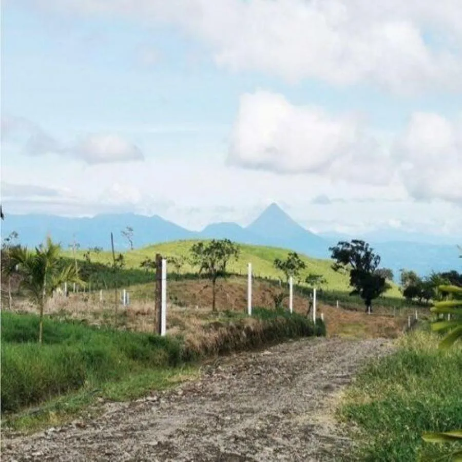 VENTA DE LOTES RESIDENCIALES, ALAJUELA, SAN CARLOS, CUIDAD QUESADA - Venta en San Carlos