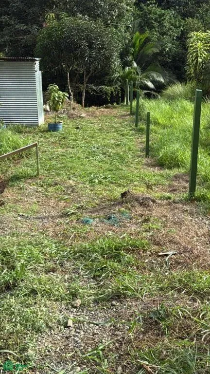 Finca Gloriana,, Puntarenas 60601