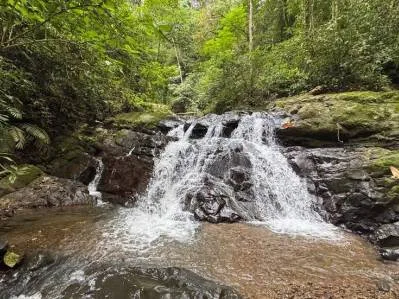 Catarata de 23,5 acres y finca frente al río Bahía Ballena Península de Osa, photo 2