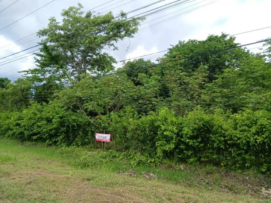 Venta de Excelente Lote en San Pedro San José - Venta en San Pedro, photo 6