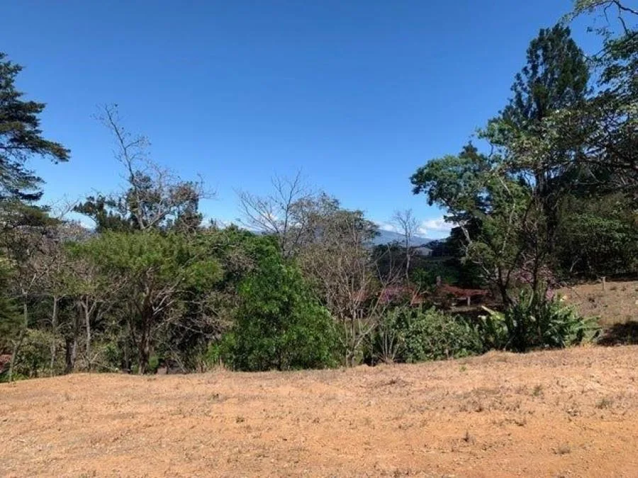 Venta de Excelente Lote en San Pedro San José - Venta en San Pedro, photo 7