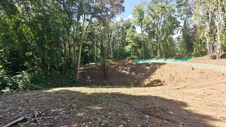 ID  1011: 7535m² Cahuita Land Near the Beach with Building Platform, photo 2