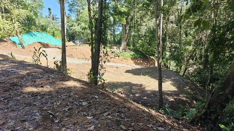 ID  1011: 7535m² Cahuita Land Near the Beach with Building Platform, photo 3
