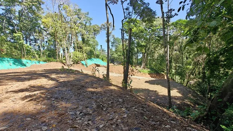 ID  1011: 7535m² Cahuita Land Near the Beach with Building Platform, photo 4