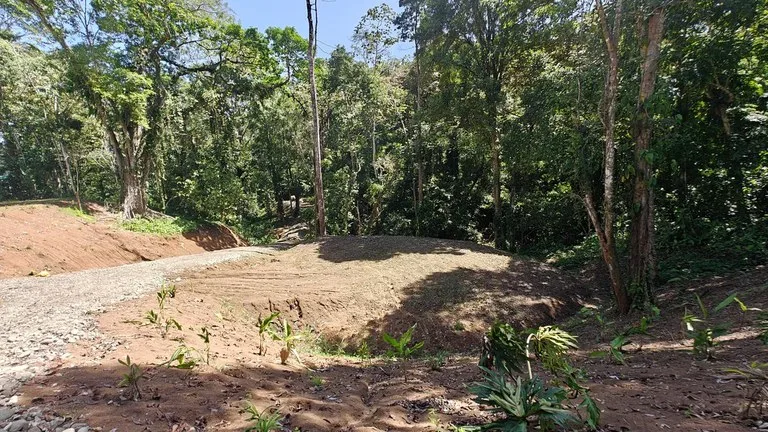 ID  1011: 7535m² Cahuita Land Near the Beach with Building Platform, photo 6