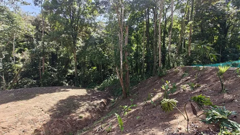 ID  1011: 7535m² Cahuita Land Near the Beach with Building Platform, photo 7