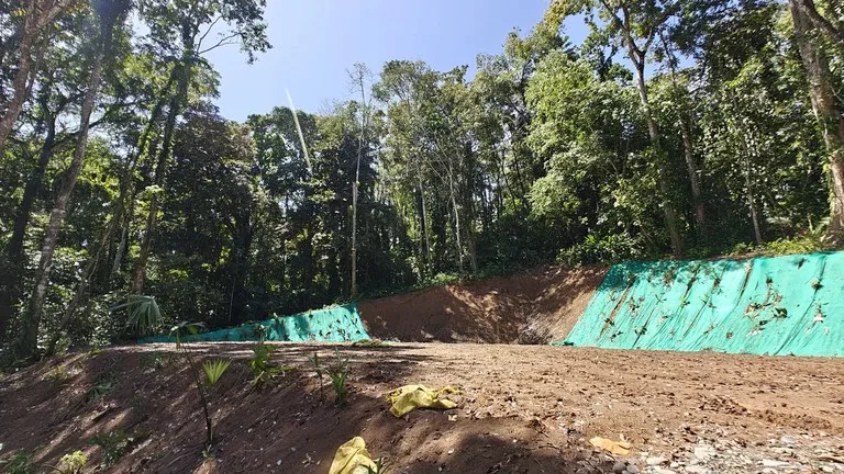 ID  1011: 7535m² Cahuita Land Near the Beach with Building Platform, photo 8
