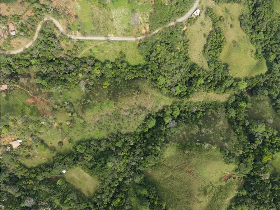 Venta de Finca de 7.1 Ha en Mercedes Sur, Puriscal