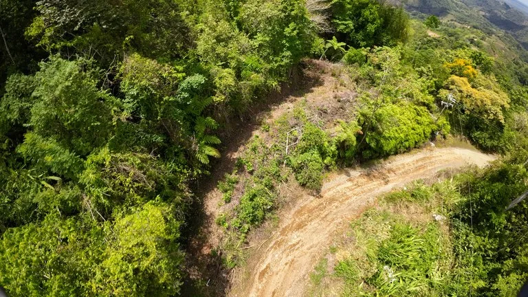 Ocean View Investment Opportunity, photo 2