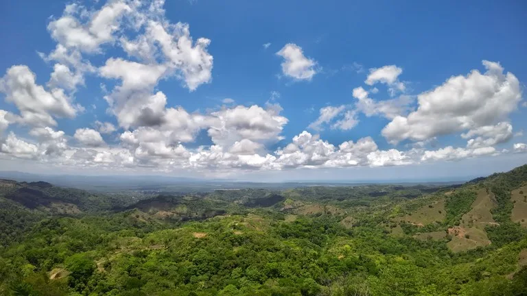 Ocean View Investment Opportunity, photo 13