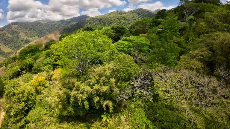Ocean View Investment Opportunity, photo 15