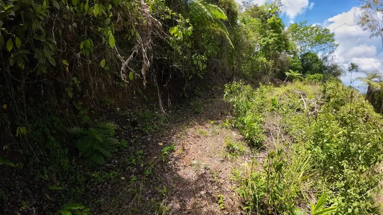Ocean View Investment Opportunity, photo 4