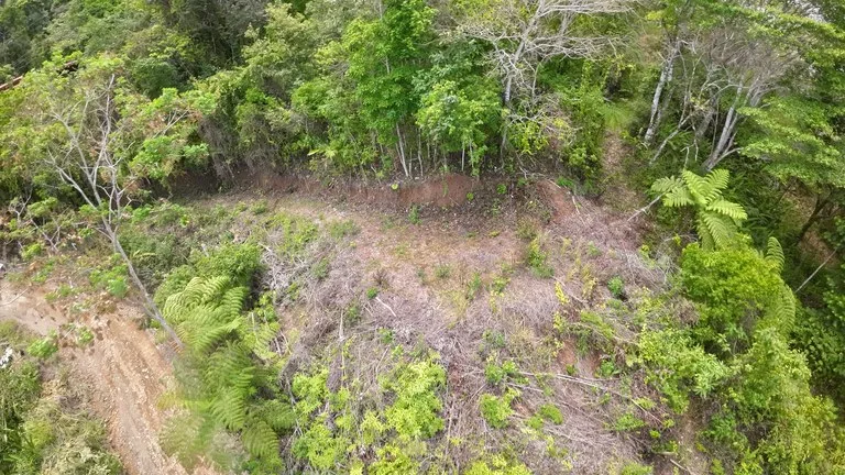 Ocean View Investment Opportunity, photo 5