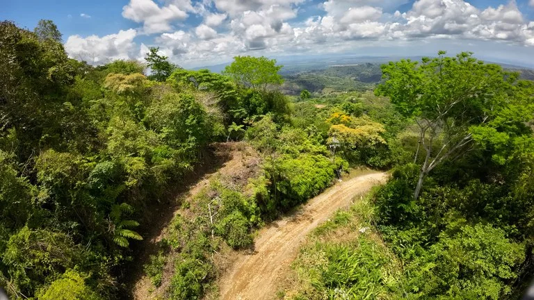 Ocean View Investment Opportunity, photo 7