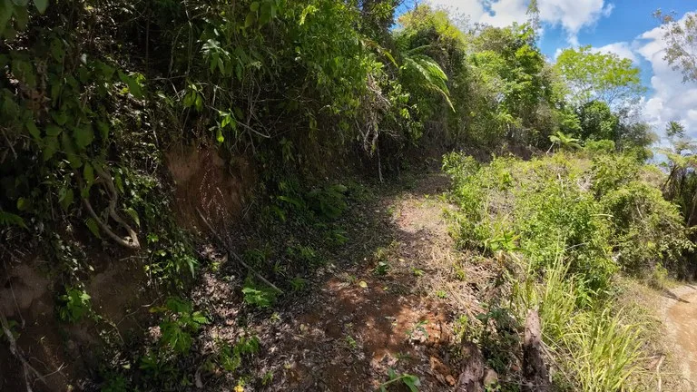 Ocean View Investment Opportunity, photo 9