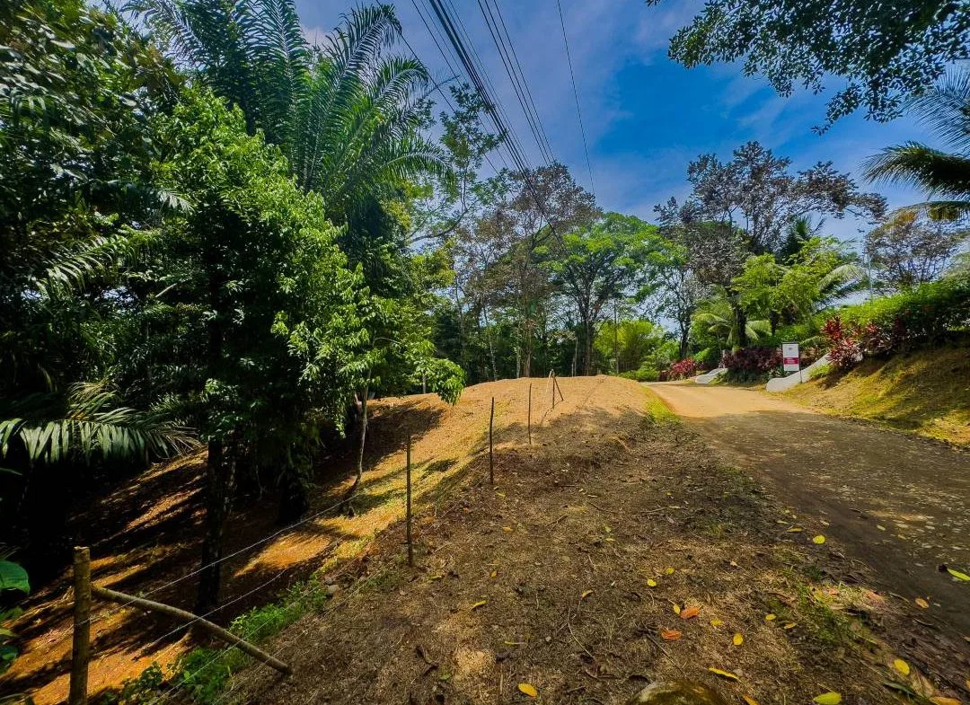 PROPERTY IN OJOCHAL WITH JUNGLE – 2.35 ACRES, photo 15