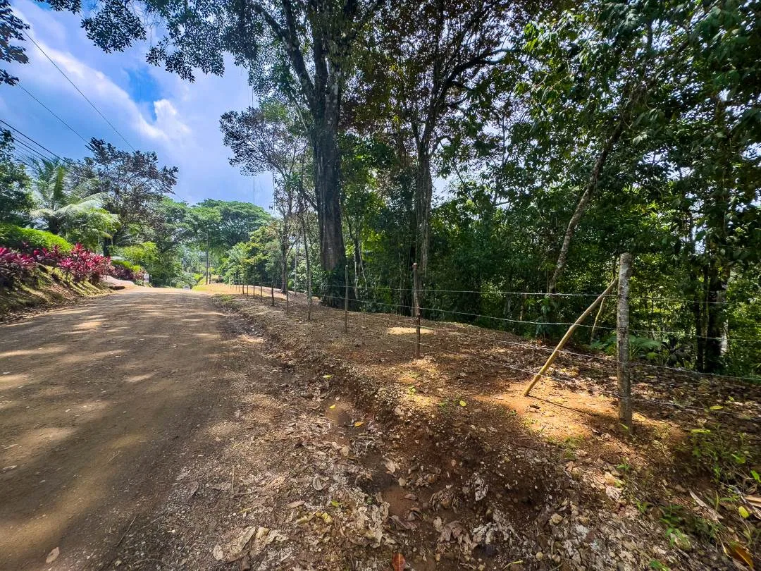 PROPERTY IN OJOCHAL WITH JUNGLE – 2.35 ACRES, photo 23