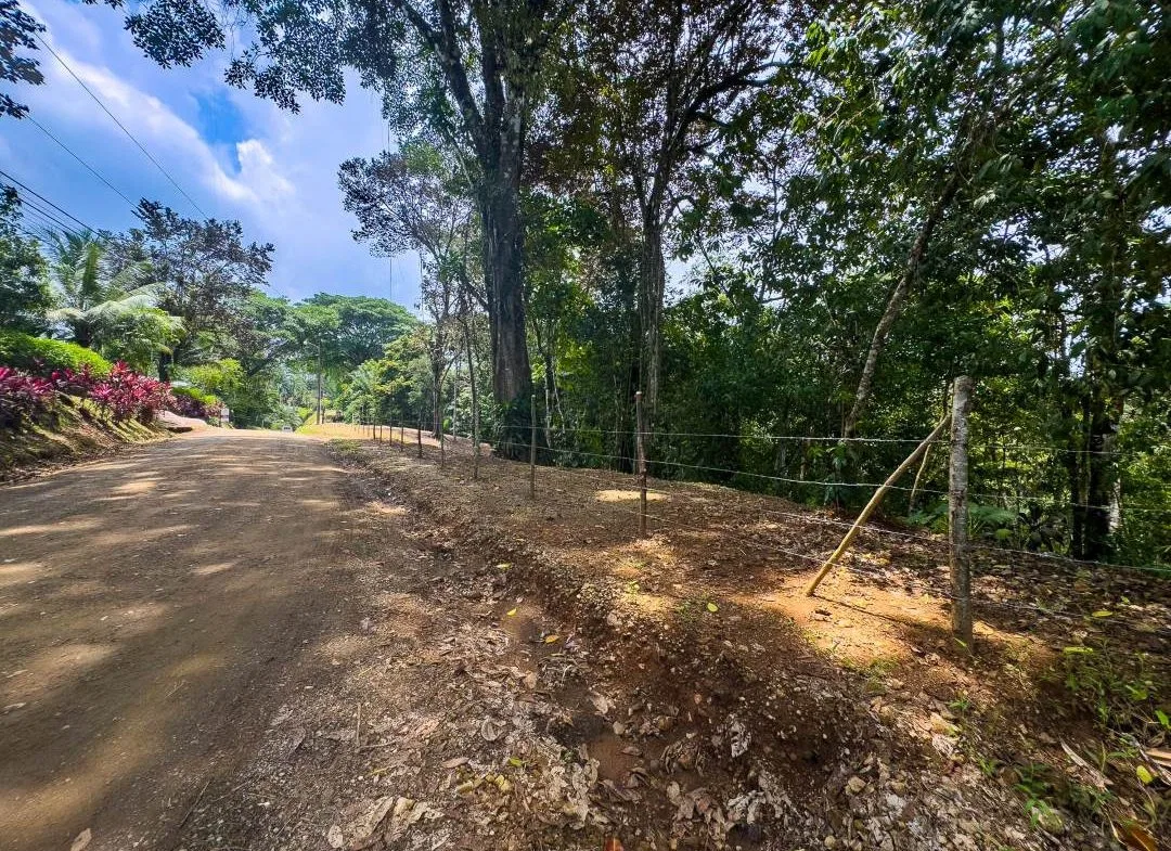 PROPERTY IN OJOCHAL WITH JUNGLE – 2.35 ACRES, photo 24