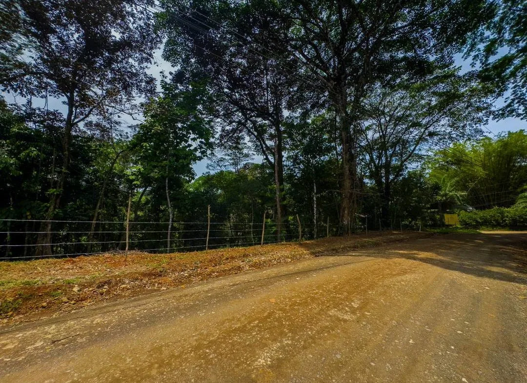PROPERTY IN OJOCHAL WITH JUNGLE – 2.35 ACRES, photo 5