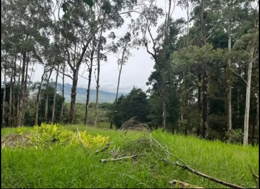 La propiedad tiene uso de suelo AGROTURISTICO lo que permite la construcción de albergues, ..., photo 2