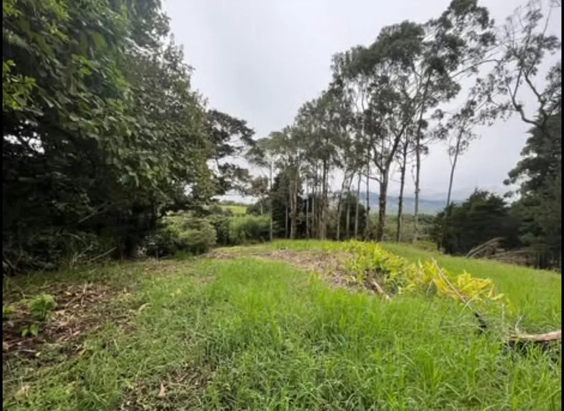 La propiedad tiene uso de suelo AGROTURISTICO lo que permite la construcción de albergues, ..., photo 3
