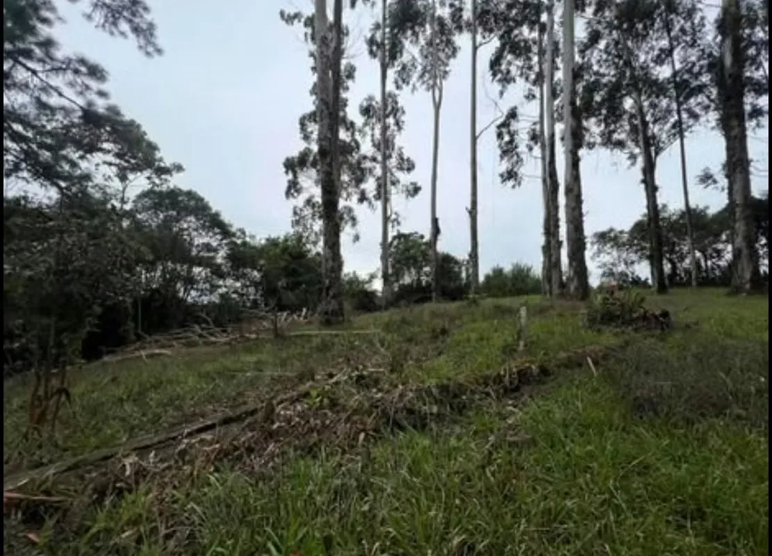 La propiedad tiene uso de suelo AGROTURISTICO lo que permite la construcción de albergues, ..., photo 4
