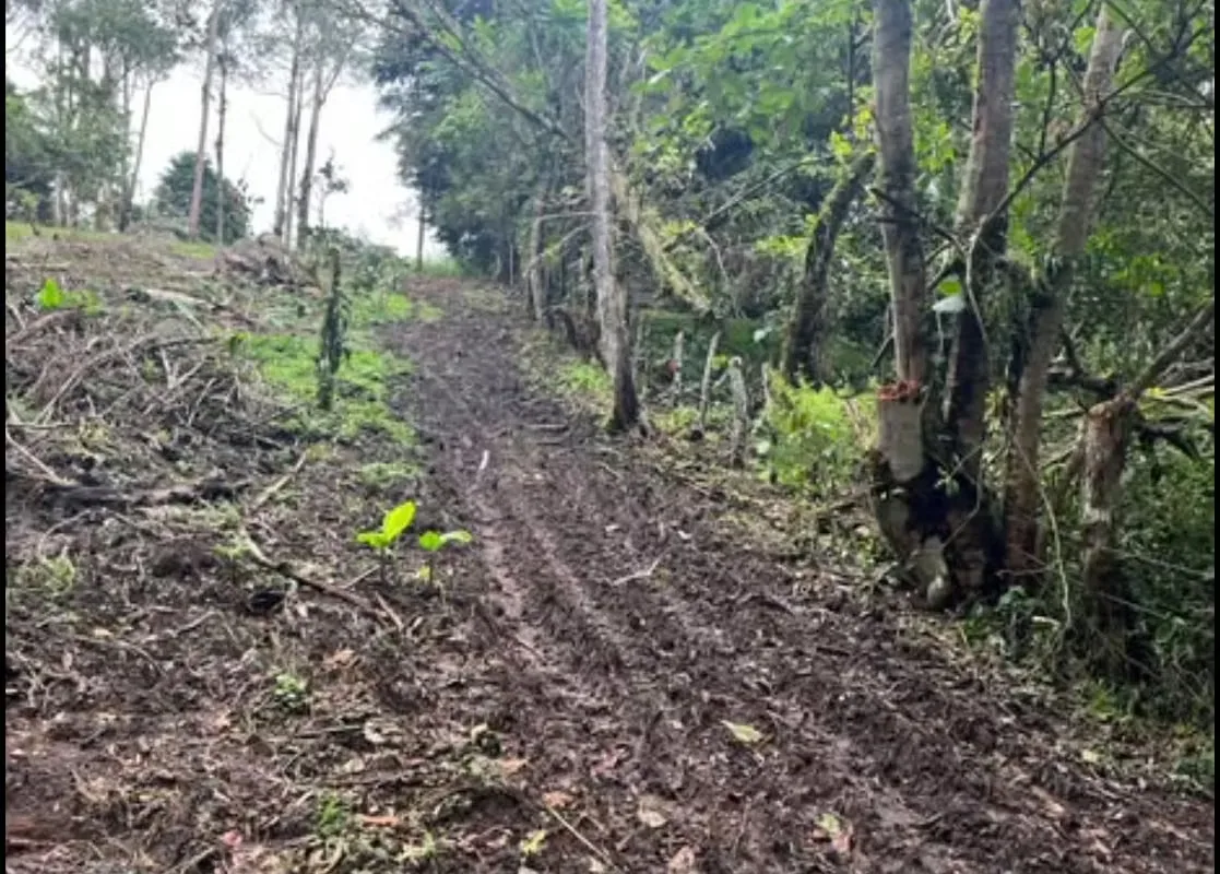 La propiedad tiene uso de suelo AGROTURISTICO lo que permite la construcción de albergues, ..., photo 5