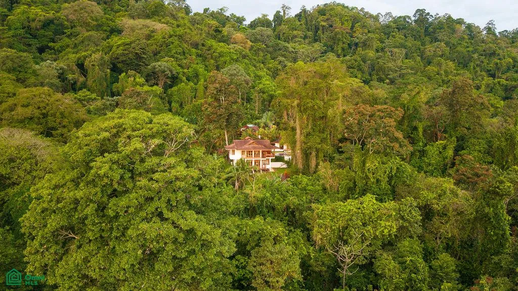 Cahuita Talamanca Limon Costa Rica 70403 Limon, photo 22