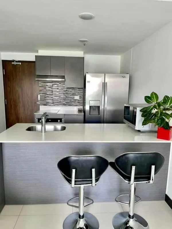 APARTAMENTO AMUEBLADO EN ALQUILER EN NUNCIATURA ROHRMOSER
