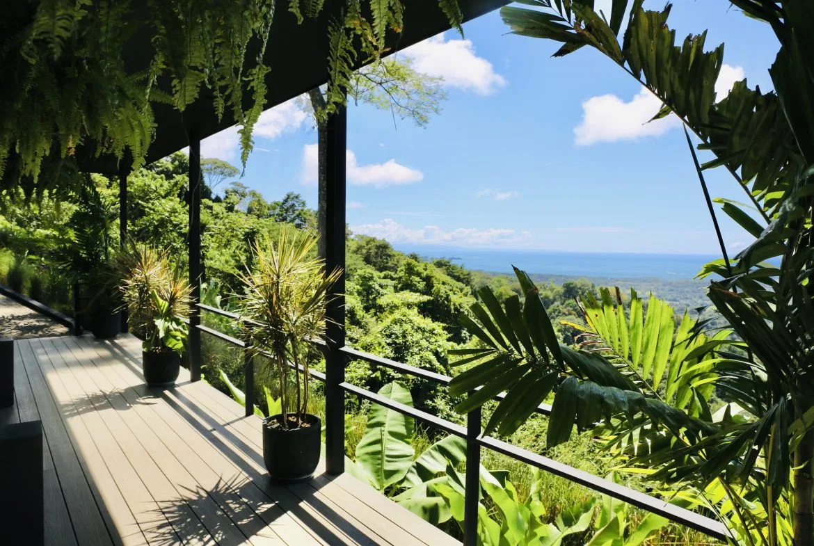 BLACK HOUSE JUNGLE PROPERTY, IN UVITA – 4.32 ACRES, photo 23