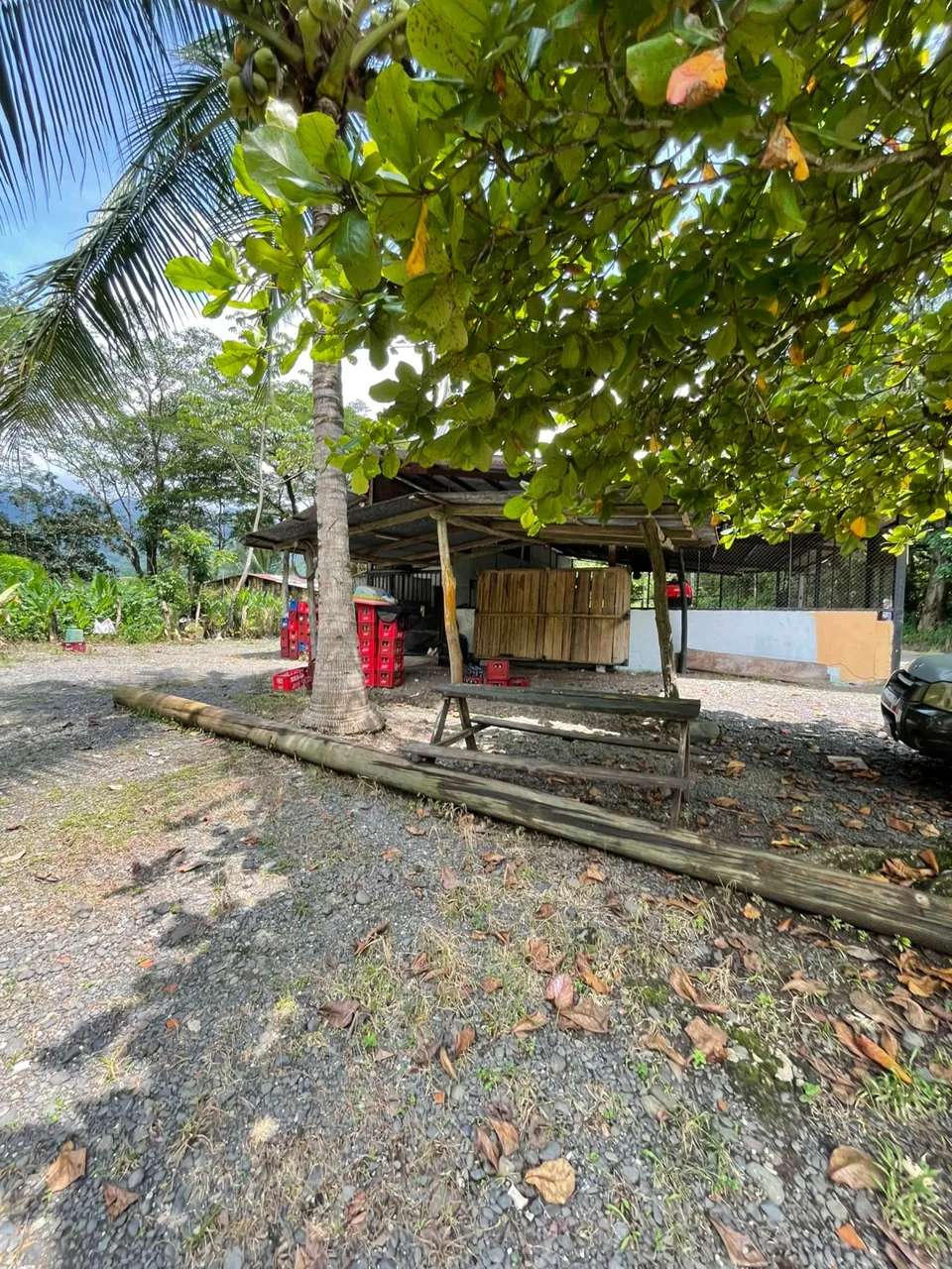 Unique Commercial Opportunity in Turrubares, photo 7