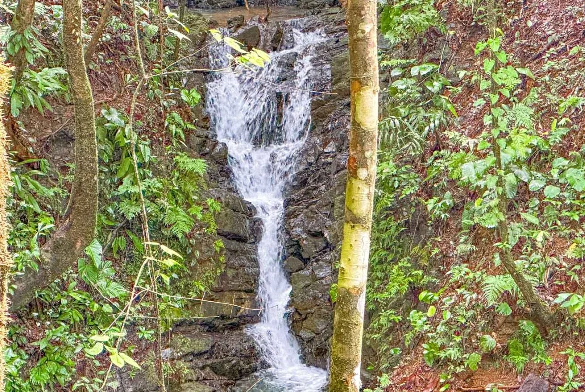 HOUSE WITH WATERFALL ACCESS AND PRIVACY CLOSE TO UVITA AND OJOCHAL – 3.8 ACRES, photo 7