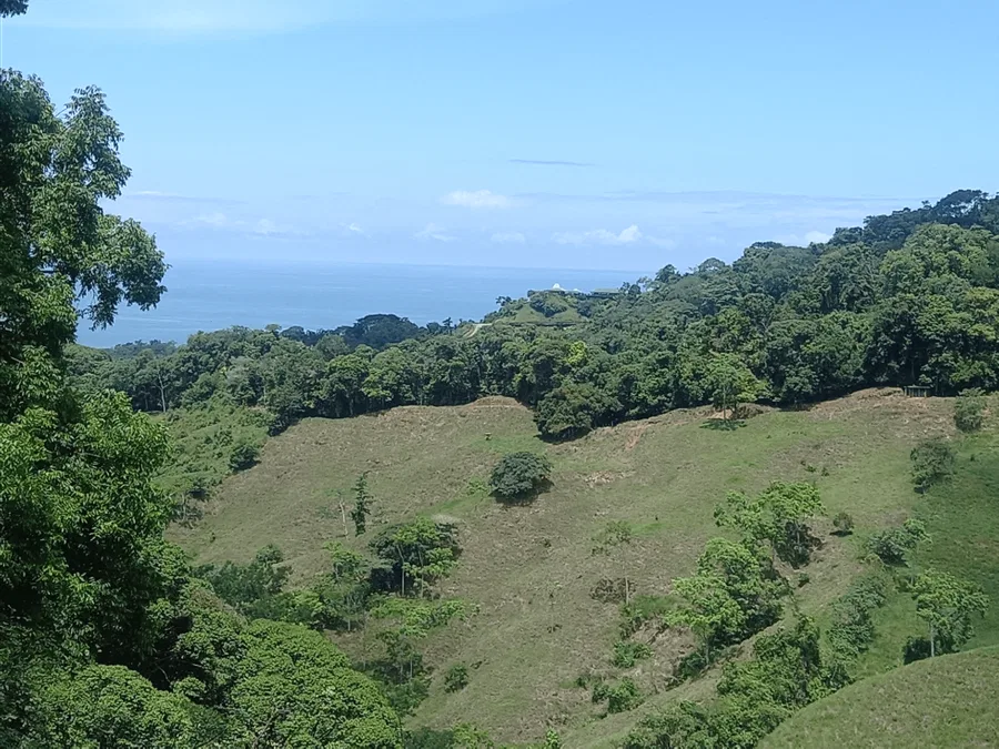 Finca en Lagunas de Barú Pérez Zeledón (Vista al Mar)