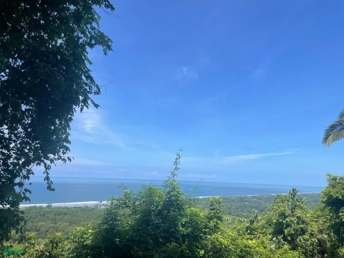Playa hermosa,, Puntarenas 6601