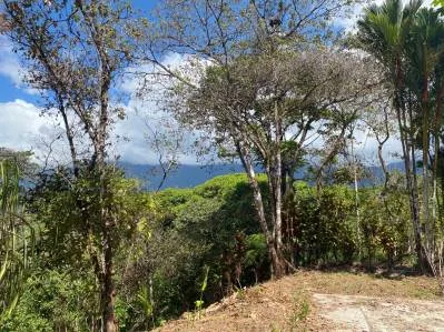 Impresionante propiedad de 4,49 acres en Ojochal con vistas a la montaña y potencial infinito, photo 2