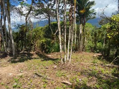 Impresionante propiedad de 4,49 acres en Ojochal con vistas a la montaña y potencial infinito, photo 5