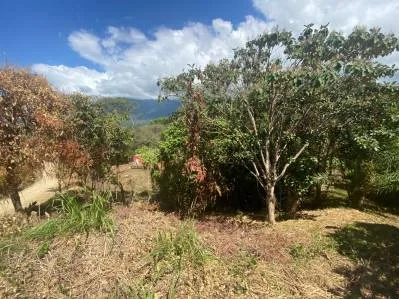 Impresionante propiedad de 4,49 acres en Ojochal con vistas a la montaña y potencial infinito, photo 6