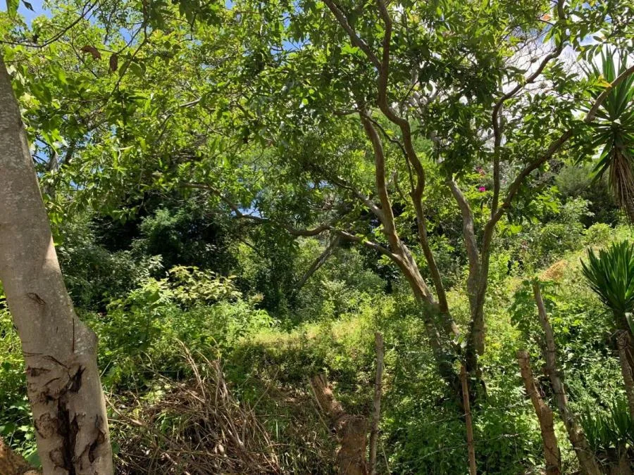Venta de Lote en San Antonio, Escazú. - Venta en Escazú, photo 11