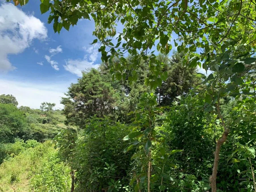 Venta de Lote en San Antonio, Escazú. - Venta en Escazú, photo 9